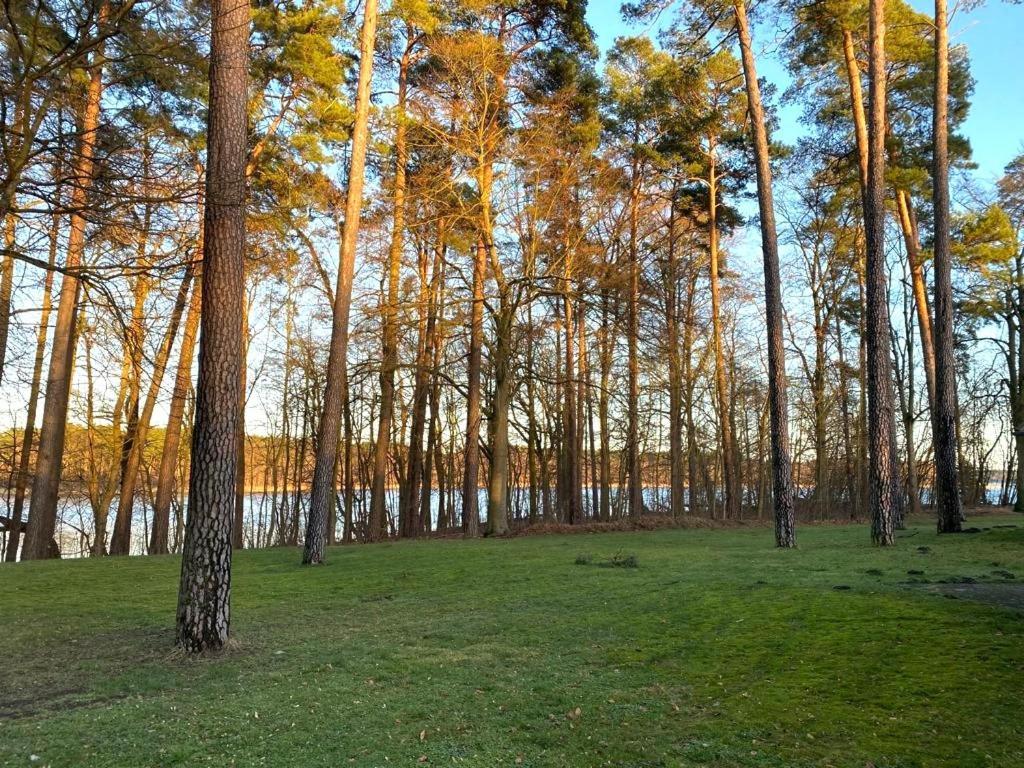 Ferienhaus Direkt Am See Uckermark Templin Eksteriør billede